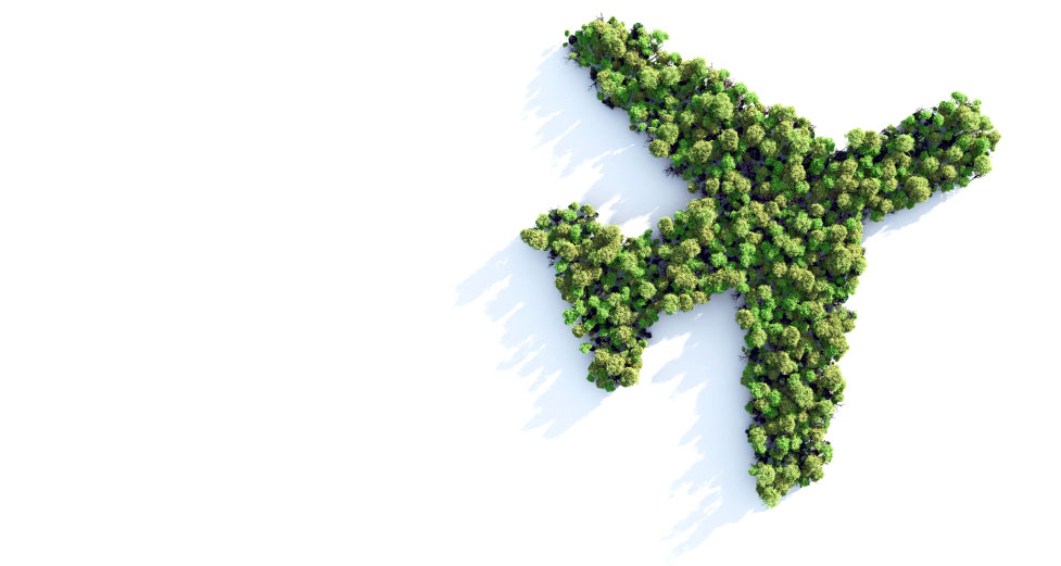 EAS Carbon Footprint